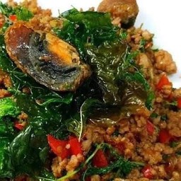 ข้าวราดไข่เยี่ยวม้ากะเพราะกรอบ