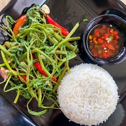 ข้าวราดกระเฉดไฟแดง