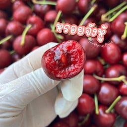 เชอรี่สดพันธุ์มัสมาเนีย นำเข้าจากชีลี 1 โล