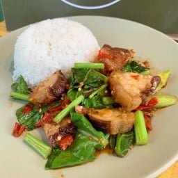 ผัดคะน้า (ราดข้าว)