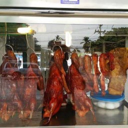 ร้านข้าวมันไก่ เป็ดย่าง นายนพ