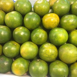 ส้มโชกุน 1  กิโลกรัม