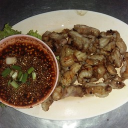 เพดานหมูย่าง