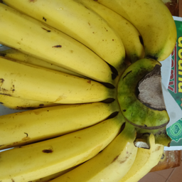 กล้วยสด1ลูก
