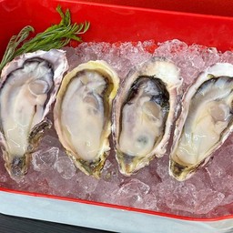 หอยนางรมสด(4ตัว)