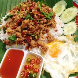 ครูโอข้าวขาหมู กะเพราถาด กำแพงเพชร