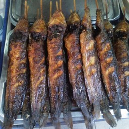 ปลาดุกย่าง