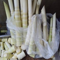 แกงเห็ด แกงหน่อไม้สด แกงเห็ดรวมแกงผักหวานป่า