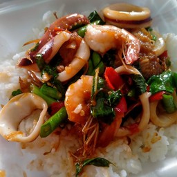 กะเพราทะเล