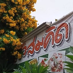 ครัวสมคิดวิภาวดี42