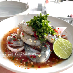 ยำกุ้งสด