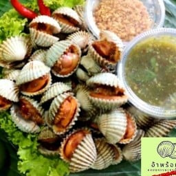 เมี่ยง & ข้าวผัดน้ำพริก  อ้าพร้อมแดก กัญญาเฮ้าส์