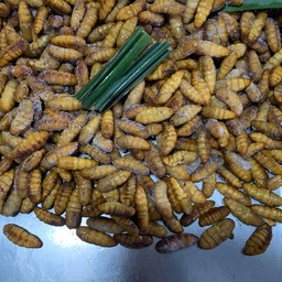 ร้านแมลงทอดหลังแม็คโครระยอง ระยอง