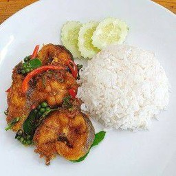 ผัดเผ็ดปลาดุก ทอด  ราดข้าว