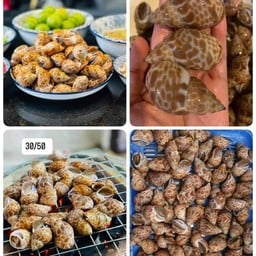 หอยหวานลวก