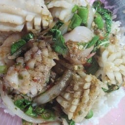 ข้าวราดกระเพราปลาหมึก