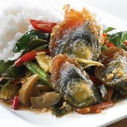 ข้าวกะเพราไข่เยี่ยวม้า