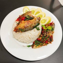 บ้านกะเพรา