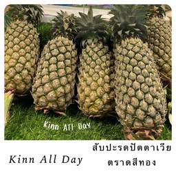 สับปะรดปัตตาเวีย หัวใหญ่