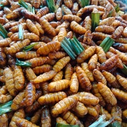ดักแด้ทอด(หวานมันอร่อย)