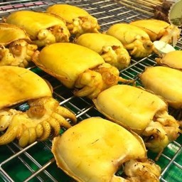 ปลาหมึกระดองกย่าง 1 กิโลกรัม+แถมฟรีโค้กกระป๋อง