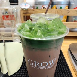 โกโก้มัทฉะ