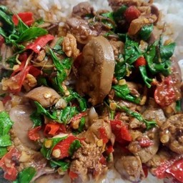 ผัดกระเพราเครื่องในไก่ราดข้าว