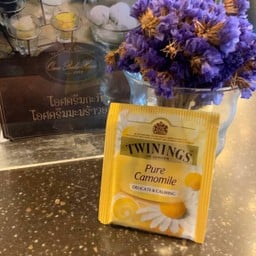 ชาคาโมมายเย็น