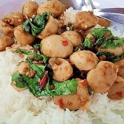 กระเพราลูกชิ้นหมู (ราดข้าว)