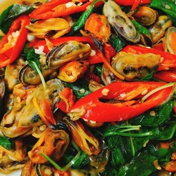 หอยแมลงภู่ผัดโหระพา (กับข้าว)