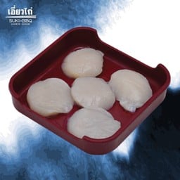 หอยเชลล์ USA