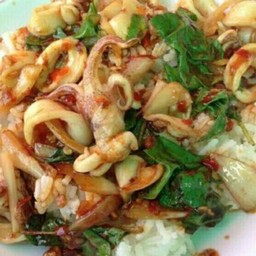 กระเพราปลาหมึกราดข้าว