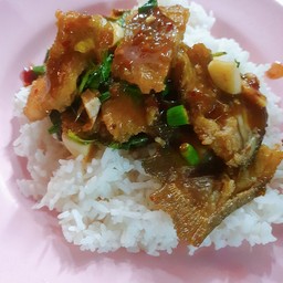กระเพราะปลาสลิดราดข้าว