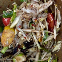 ตำขาไก่