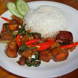 กะเพราหมูกรอบ เจ้าเก่าต้นขาม