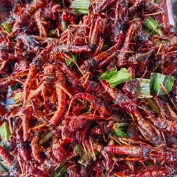ตั๊กแตนเลี้ยงทอด(กรอบมันอร่อย)