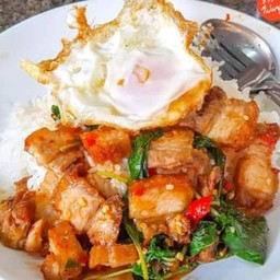 ข้าวราดกระเพราหมูกรอบ ( พิเศษ )