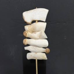 เห็ดออริลจิย่าง