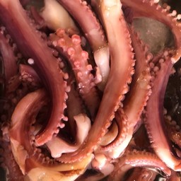 หนวดหมึกเรดาร์