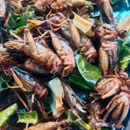 แมงจิ้งโปร่งไข่ทอด(หอมมันกรอบอร่อย)