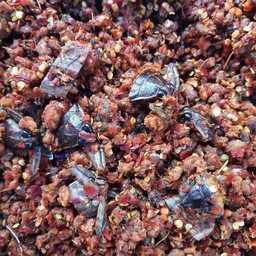 น้ำพริกแมงดาปลาย่าง(สูตรอุทัย)