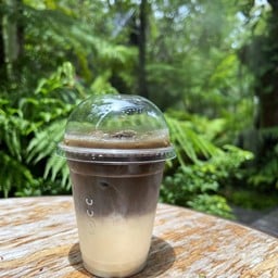 Iced Hojicha Latte