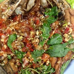 ปลากะพงสามรส