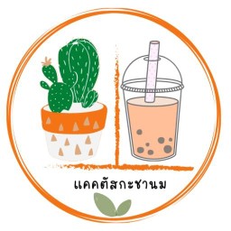 แคคตัสกะชานม สันป่าตอง เชียงใหม่