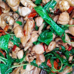 กระเพาไก่ราดข้าว