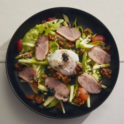 Duo Duck Salad