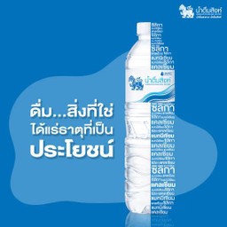 น้ำดื่มตราสิงห์ 600 ml.
