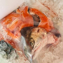 หัวปลาแซม่อน