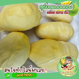ทุเรียนวัยรุ่นพันล้าน
