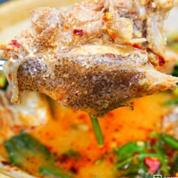 หัวปลาหม้อไฟ